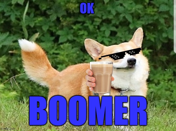 OK BOOMER | OK; BOOMER | image tagged in ok boomer corgi | made w/ Imgflip meme maker