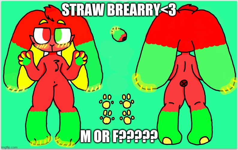 STRAW BREARRY<3; M OR F????? | made w/ Imgflip meme maker