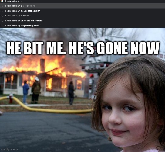 Sorry if the first image is blurry. | HE BIT ME. HE'S GONE NOW | image tagged in memes,disaster girl | made w/ Imgflip meme maker