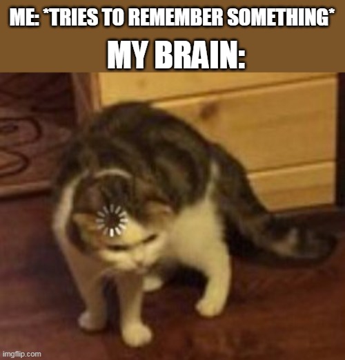 Loading cat |  MY BRAIN:; ME: *TRIES TO REMEMBER SOMETHING* | image tagged in loading cat | made w/ Imgflip meme maker