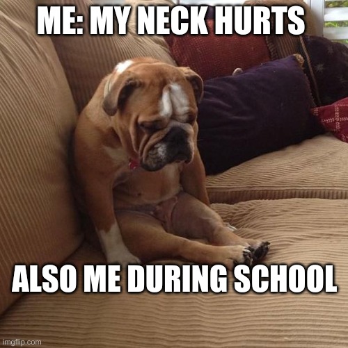 bulldogsad | ME: MY NECK HURTS; ALSO ME DURING SCHOOL | image tagged in bulldogsad | made w/ Imgflip meme maker