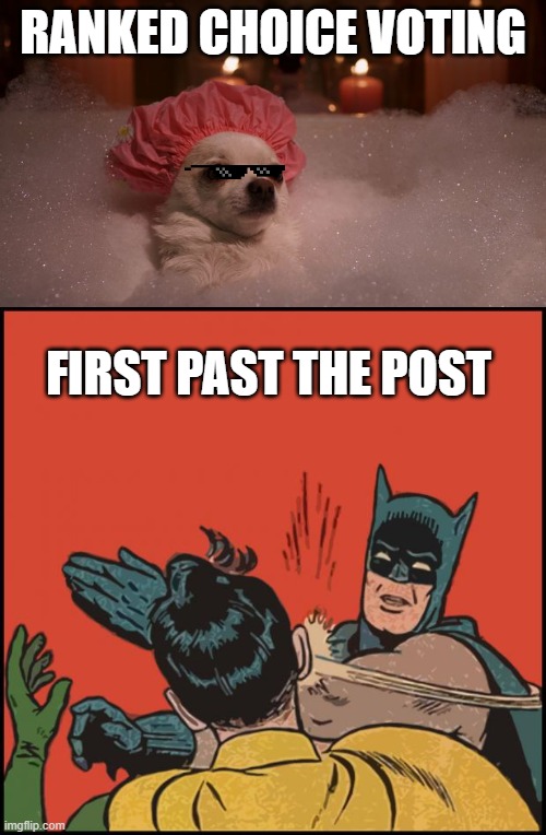 Mo bubbles vs No bubbles | RANKED CHOICE VOTING; FIRST PAST THE POST | image tagged in chihuahua bubble bath,batman slapping robin no bubbles | made w/ Imgflip meme maker