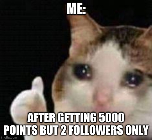pls follow | ME:; AFTER GETTING 5000 POINTS BUT 2 FOLLOWERS ONLY | image tagged in approved crying cat | made w/ Imgflip meme maker