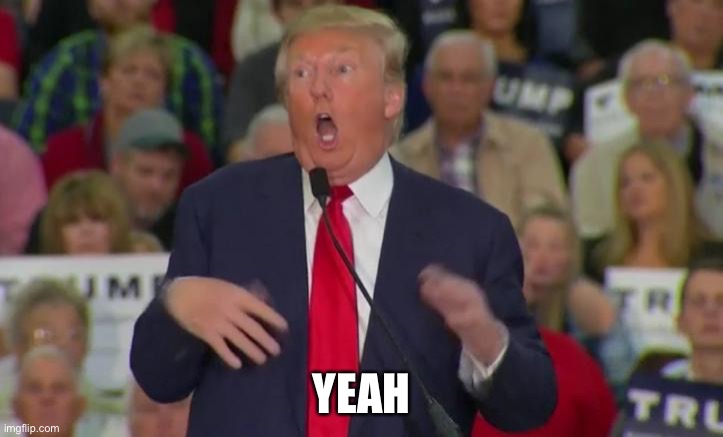 Donald Trump Mocking Disabled | YEAH | image tagged in donald trump mocking disabled | made w/ Imgflip meme maker