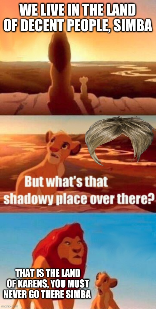 Don't be a karen | WE LIVE IN THE LAND OF DECENT PEOPLE, SIMBA; THAT IS THE LAND OF KARENS, YOU MUST NEVER GO THERE SIMBA | image tagged in memes,simba shadowy place | made w/ Imgflip meme maker