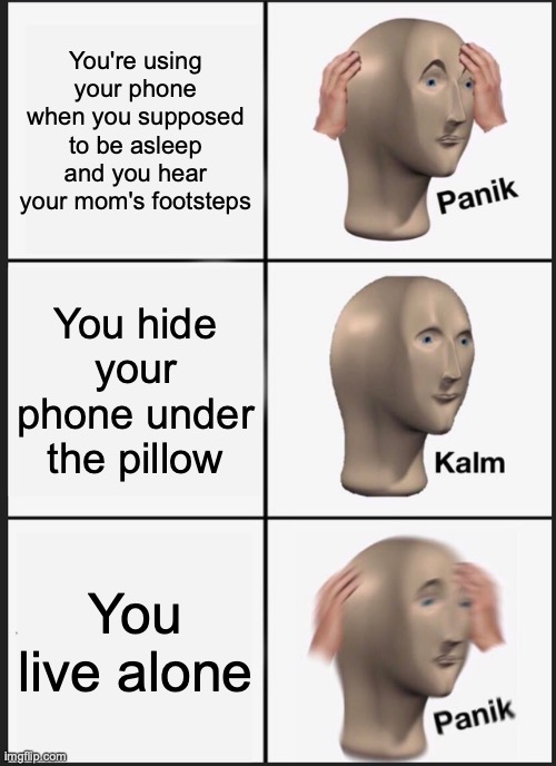welp |  You're using your phone when you supposed to be asleep and you hear your mom's footsteps; You hide your phone under the pillow; You live alone | image tagged in memes,panik kalm panik,funny,funny memes,lol | made w/ Imgflip meme maker