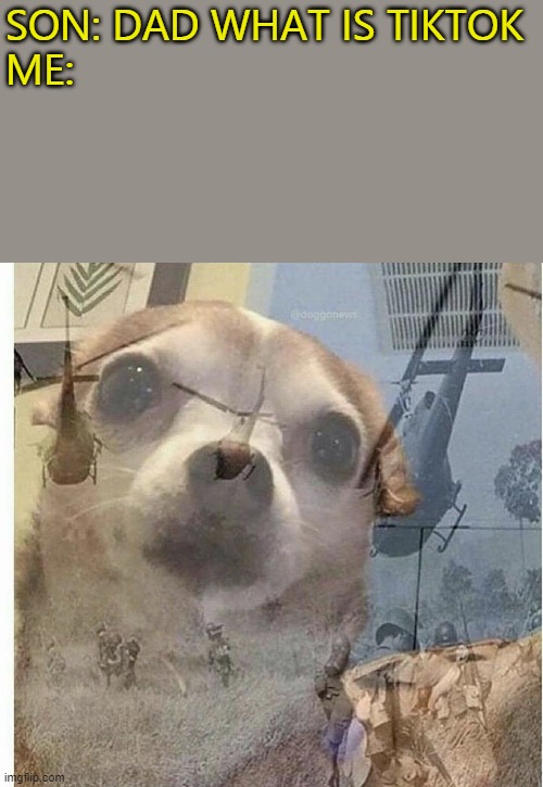 PTSD Chihuahua | SON: DAD WHAT IS TIKTOK
ME: | image tagged in ptsd chihuahua | made w/ Imgflip meme maker
