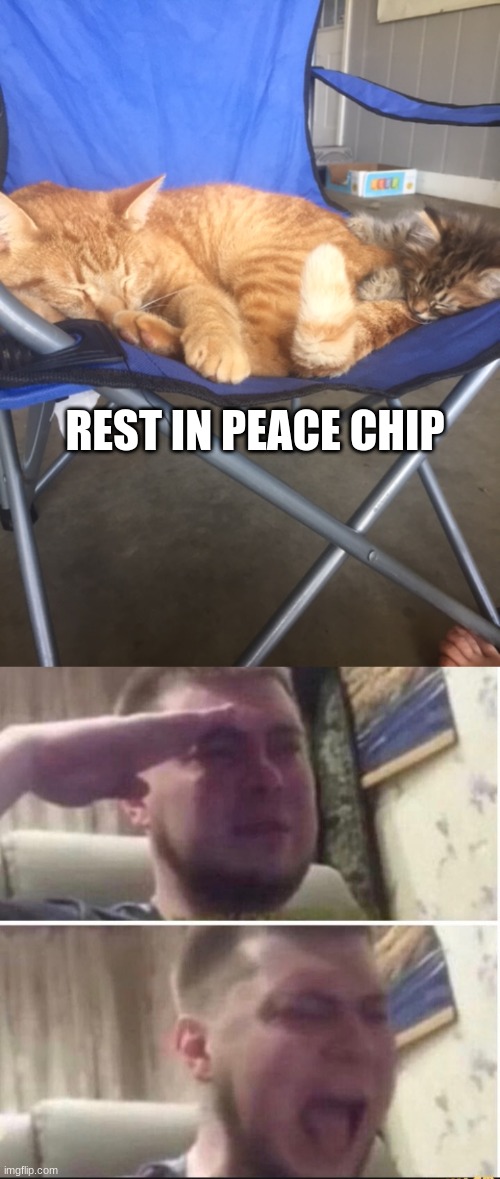 sad | REST IN PEACE CHIP | image tagged in crying salute | made w/ Imgflip meme maker