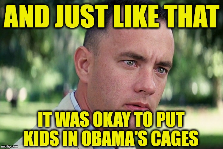 And Just Like That Meme | AND JUST LIKE THAT IT WAS OKAY TO PUT KIDS IN OBAMA'S CAGES | image tagged in memes,and just like that | made w/ Imgflip meme maker