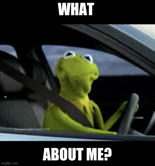 Kermit Driving | WHAT ABOUT ME? | image tagged in kermit driving | made w/ Imgflip meme maker