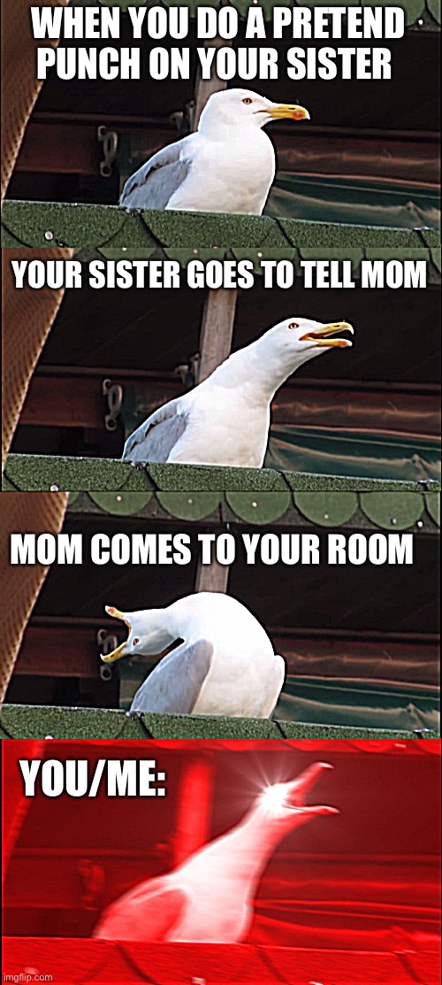 Inhaling Seagull Meme | WHEN YOU DO A PRETEND PUNCH ON YOUR SISTER; YOUR SISTER GOES TO TELL MOM; MOM COMES TO YOUR ROOM; YOU/ME: | image tagged in memes,inhaling seagull | made w/ Imgflip meme maker