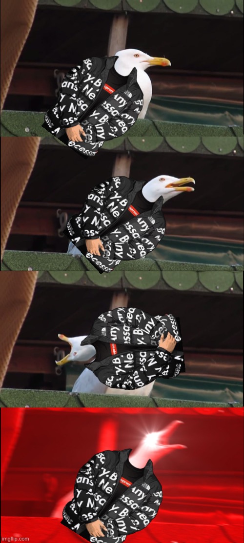 oh god what have i done | image tagged in memes,inhaling seagull | made w/ Imgflip meme maker