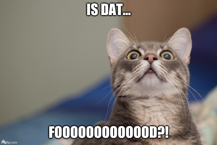 LOLCAT | IS DAT... FOOOOOOOOOOOOD?! | image tagged in lolcat | made w/ Imgflip meme maker