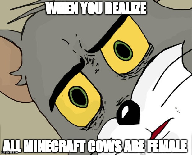 Unsettled Tom Meme | WHEN YOU REALIZE ALL MINECRAFT COWS ARE FEMALE | image tagged in memes,unsettled tom | made w/ Imgflip meme maker