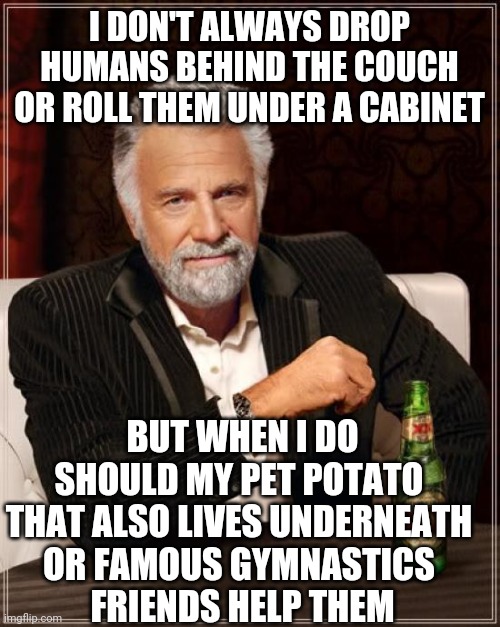 My absurd sense of humour gets the best of me again. | I DON'T ALWAYS DROP HUMANS BEHIND THE COUCH OR ROLL THEM UNDER A CABINET; BUT WHEN I DO
SHOULD MY PET POTATO 
THAT ALSO LIVES UNDERNEATH 
OR FAMOUS GYMNASTICS 
FRIENDS HELP THEM | image tagged in memes,the most interesting man in the world | made w/ Imgflip meme maker