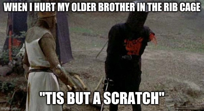 u like it | WHEN I HURT MY OLDER BROTHER IN THE RIB CAGE; "TIS BUT A SCRATCH" | image tagged in tis but a scratch,lol,my bro,oh wow are you actually reading these tags,cool u r my freind | made w/ Imgflip meme maker