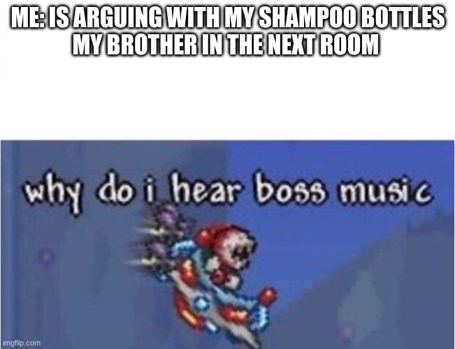 why do i hear boss music | ME: IS ARGUING WITH MY SHAMPOO BOTTLES
MY BROTHER IN THE NEXT ROOM | image tagged in why do i hear boss music | made w/ Imgflip meme maker