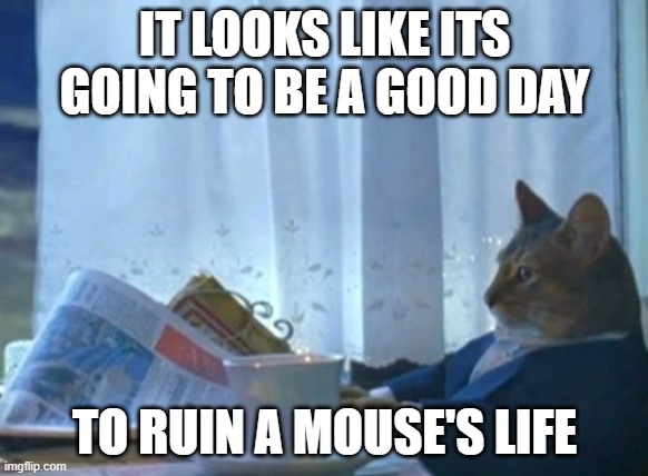I Should Buy A Boat Cat | IT LOOKS LIKE ITS GOING TO BE A GOOD DAY; TO RUIN A MOUSE'S LIFE | image tagged in memes,i should buy a boat cat | made w/ Imgflip meme maker