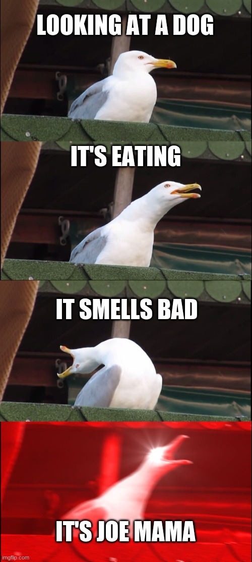 Inhaling Seagull Meme | LOOKING AT A DOG; IT'S EATING; IT SMELLS BAD; IT'S JOE MAMA | image tagged in memes,inhaling seagull | made w/ Imgflip meme maker
