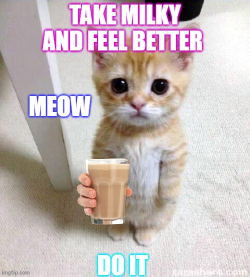 Choccy Milky | TAKE MILKY AND FEEL BETTER; MEOW; DO IT | image tagged in memes,cute cat | made w/ Imgflip meme maker