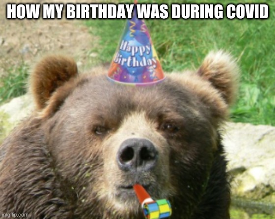 Bear Birthday | HOW MY BIRTHDAY WAS DURING COVID | image tagged in bears | made w/ Imgflip meme maker
