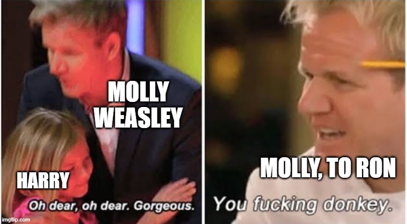 haha sucks for ron | MOLLY WEASLEY; MOLLY, TO RON; HARRY | image tagged in gordon ramsay kids vs adults,harry potter | made w/ Imgflip meme maker