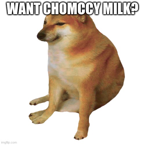 cheems | WANT CHOMCCY MILK? | image tagged in cheems | made w/ Imgflip meme maker
