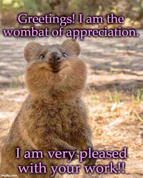 Crazy Wombat | Greetings! I am the wombat of appreciation. I am very pleased with your work!! | image tagged in crazy wombat | made w/ Imgflip meme maker