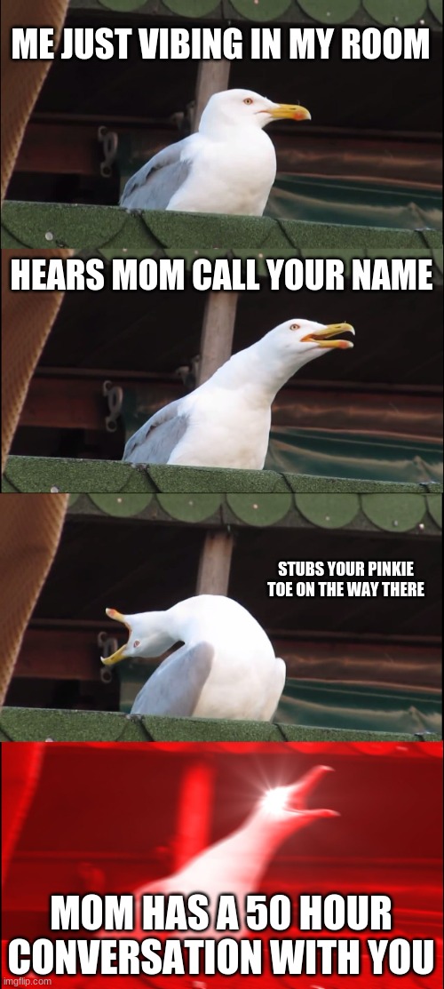 Inhaling Seagull | ME JUST VIBING IN MY ROOM; HEARS MOM CALL YOUR NAME; STUBS YOUR PINKIE TOE ON THE WAY THERE; MOM HAS A 50 HOUR CONVERSATION WITH YOU | image tagged in memes,inhaling seagull | made w/ Imgflip meme maker