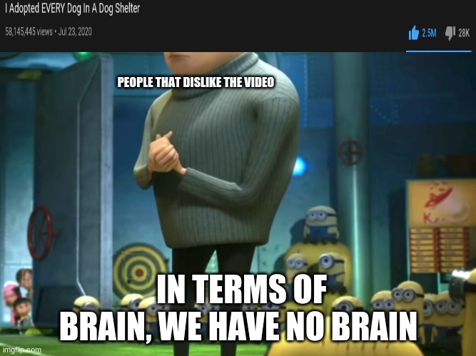 Doggos | PEOPLE THAT DISLIKE THE VIDEO; IN TERMS OF BRAIN, WE HAVE NO BRAIN | image tagged in in terms of money we have no money | made w/ Imgflip meme maker