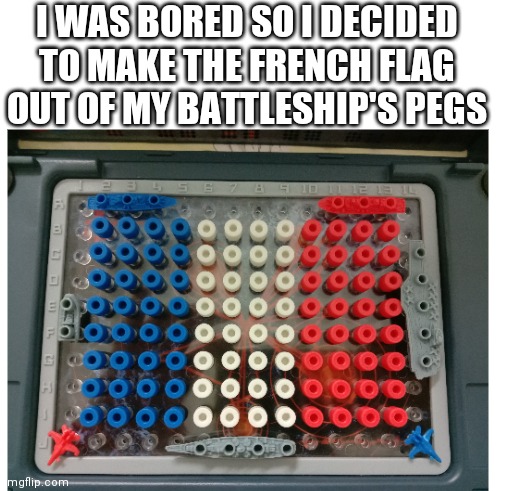 The French Flag |  I WAS BORED SO I DECIDED TO MAKE THE FRENCH FLAG OUT OF MY BATTLESHIP'S PEGS | image tagged in flag | made w/ Imgflip meme maker