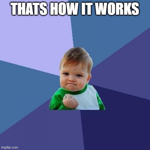 Success Kid Meme | THATS HOW IT WORKS | image tagged in memes,success kid | made w/ Imgflip meme maker