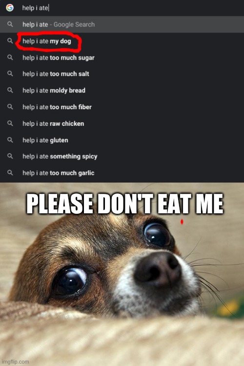 WHY, JUST WHY | PLEASE DON'T EAT ME | image tagged in dog,google search | made w/ Imgflip meme maker