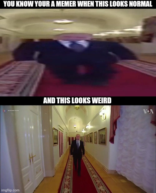 YOU KNOW YOUR A MEMER WHEN THIS LOOKS NORMAL; AND THIS LOOKS WEIRD | image tagged in wide putin | made w/ Imgflip meme maker