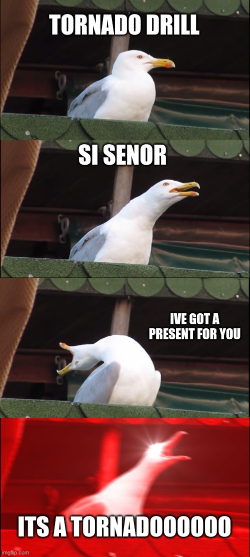 si senooorrrr | TORNADO DRILL; SI SENOR; IVE GOT A PRESENT FOR YOU; ITS A TORNADOOOOOO | image tagged in memes,inhaling seagull | made w/ Imgflip meme maker