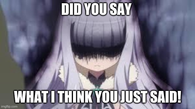 oh no you did not | DID YOU SAY; WHAT I THINK YOU JUST SAID! | image tagged in pissed off anime girl,ohhhh shiiiit | made w/ Imgflip meme maker