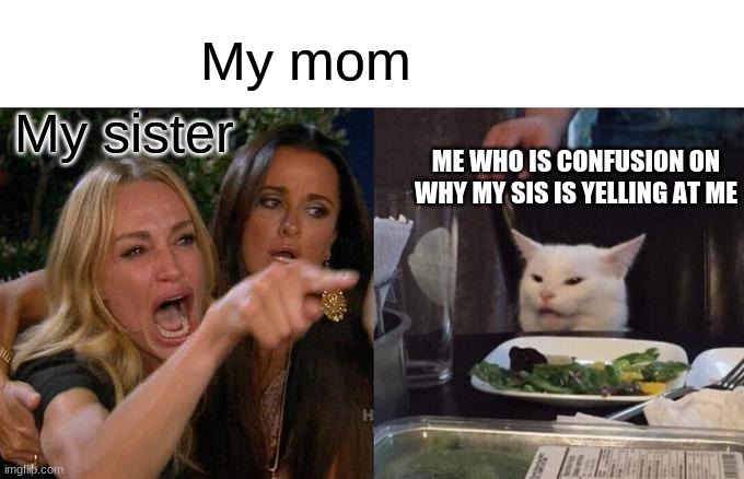 Woman Yelling At Cat Meme | My mom; My sister; ME WHO IS CONFUSION ON WHY MY SIS IS YELLING AT ME | image tagged in memes,woman yelling at cat | made w/ Imgflip meme maker