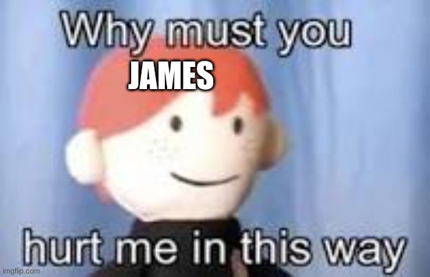 Why must you hurt me in this way | JAMES | image tagged in why must you hurt me in this way | made w/ Imgflip meme maker