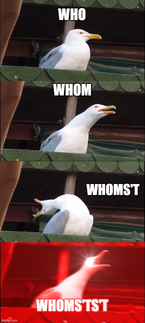 Inhaling Seagull Meme | WHO; WHOM; WHOMS'T; WHOMS'TS'T | image tagged in memes,inhaling seagull | made w/ Imgflip meme maker