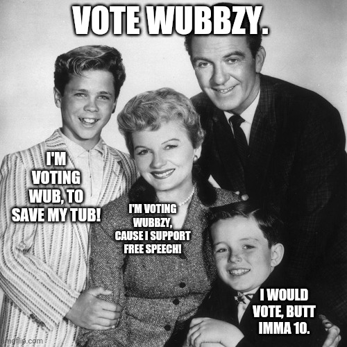 Leave It To Beaver | VOTE WUBBZY. I'M VOTING WUB, TO SAVE MY TUB! I'M VOTING WUBBZY, CAUSE I SUPPORT FREE SPEECH! I WOULD VOTE, BUTT IMMA 10. | image tagged in leave it to beaver | made w/ Imgflip meme maker