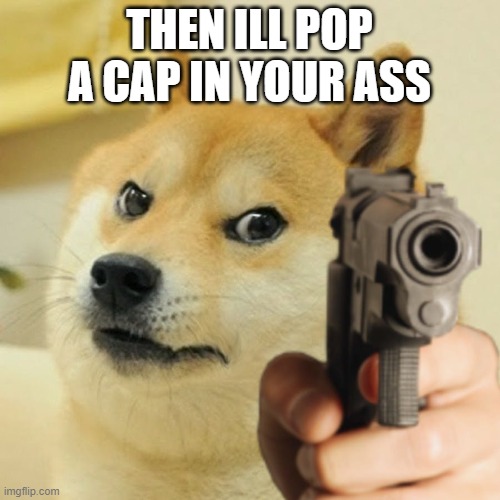 Gun Doge | THEN ILL POP A CAP IN YOUR ASS | image tagged in gun doge | made w/ Imgflip meme maker