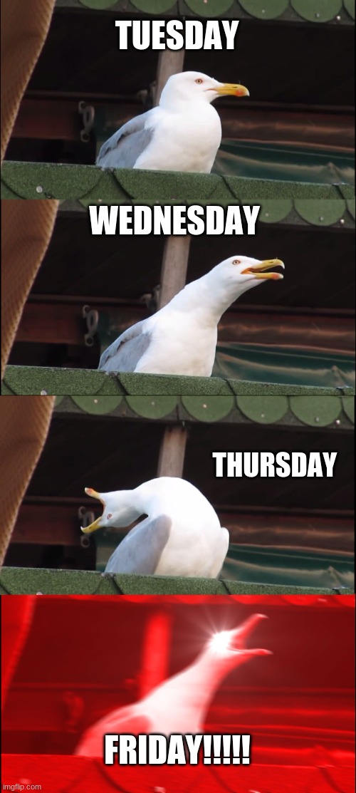 i didn't have room for Monday | TUESDAY; WEDNESDAY; THURSDAY; FRIDAY!!!!! | image tagged in memes,inhaling seagull | made w/ Imgflip meme maker