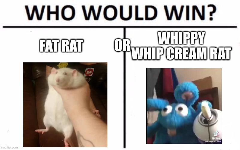 RATS EVERYWHERE | OR; FAT RAT; WHIPPY WHIP CREAM RAT | image tagged in memes,who would win | made w/ Imgflip meme maker