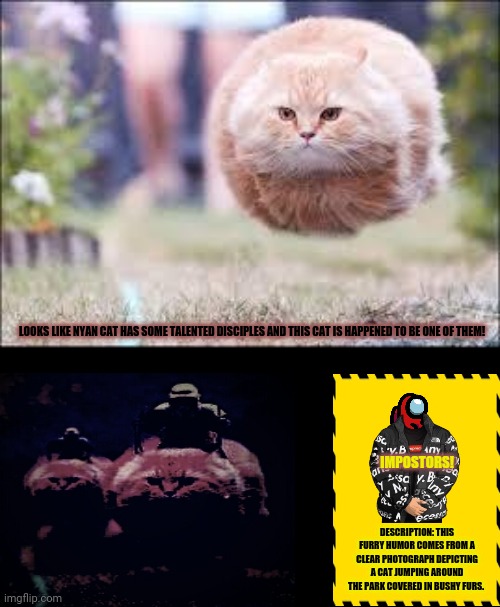 flying cat ball | LOOKS LIKE NYAN CAT HAS SOME TALENTED DISCIPLES AND THIS CAT IS HAPPENED TO BE ONE OF THEM! IMPOSTORS! DESCRIPTION: THIS FURRY HUMOR COMES FROM A CLEAR PHOTOGRAPH DEPICTING A CAT JUMPING AROUND THE PARK COVERED IN BUSHY FURS. | image tagged in memes,buffering cat,hipster kitty | made w/ Imgflip meme maker