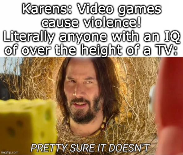 Karen stupid | Karens: Video games cause violence!
Literally anyone with an IQ of over the height of a TV: | image tagged in im pretty sure it doesnt | made w/ Imgflip meme maker