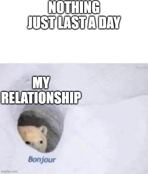 Bonjour | NOTHING JUST LAST A DAY; MY RELATIONSHIP | image tagged in bonjour | made w/ Imgflip meme maker