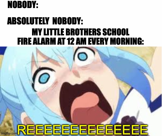 Fricken Annoying U~U | NOBODY:; ABSOLUTELY  NOBODY:; MY LITTLE BROTHERS SCHOOL FIRE ALARM AT 12 AM EVERY MORNING:; REEEEEEEEEEEEEE | image tagged in school,fire alarm | made w/ Imgflip meme maker
