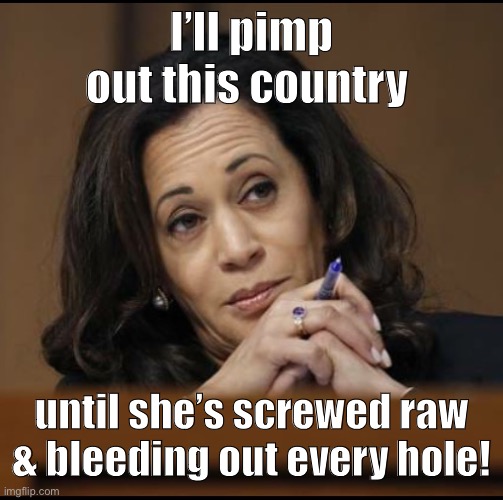 Kamala Harris  | I’ll pimp out this country until she’s screwed raw & bleeding out every hole! | image tagged in kamala harris | made w/ Imgflip meme maker
