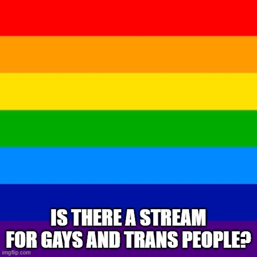 gay flag | IS THERE A STREAM FOR GAYS AND TRANS PEOPLE? | image tagged in gay flag | made w/ Imgflip meme maker