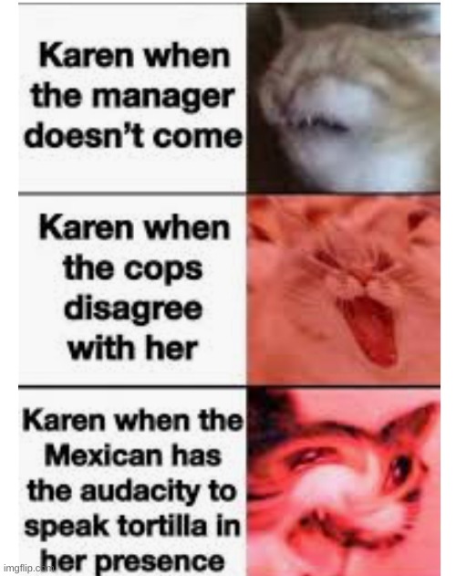 Karens be out there | image tagged in karens | made w/ Imgflip meme maker